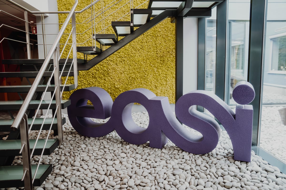 A Day in the life at Easi (FR) - Consultant (FR)- 26 novembre 2025